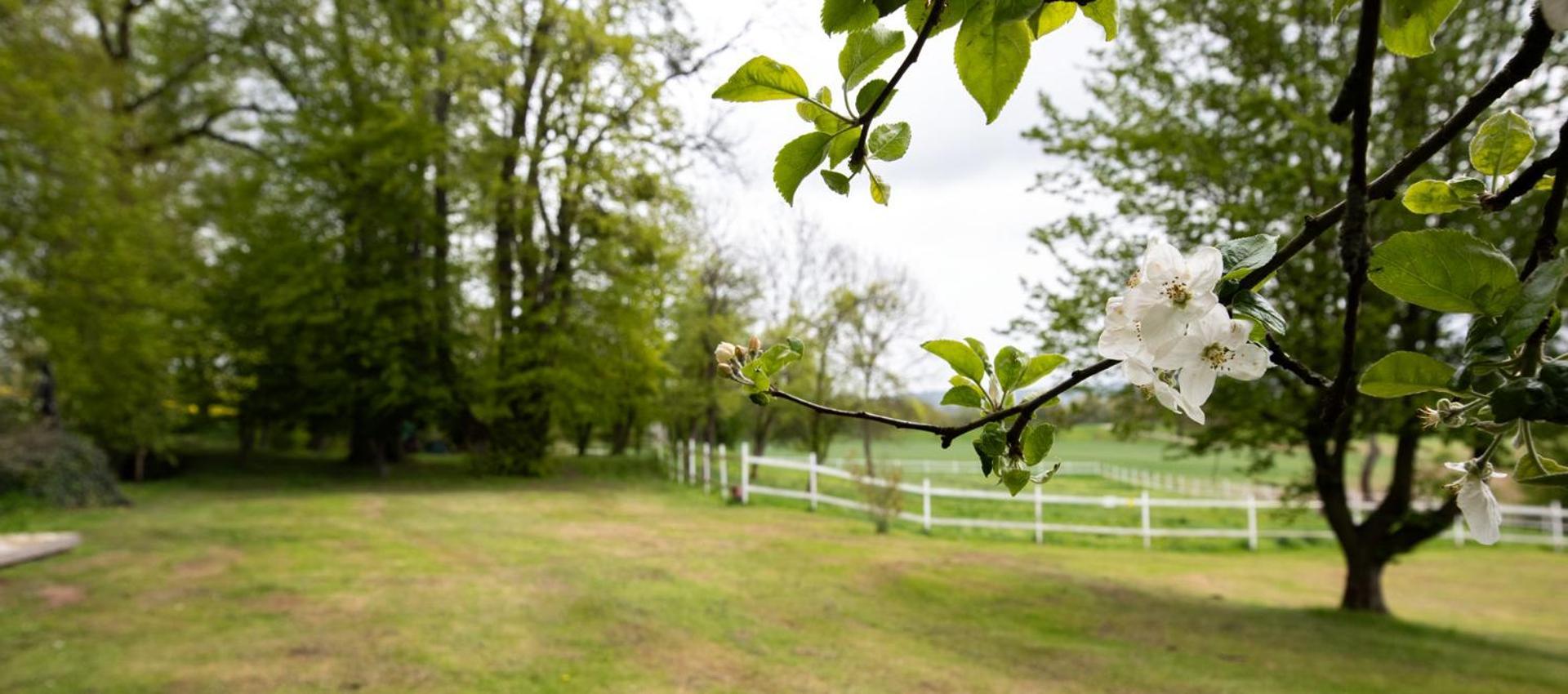 Obermuehle Duderstadt Exteriér fotografie